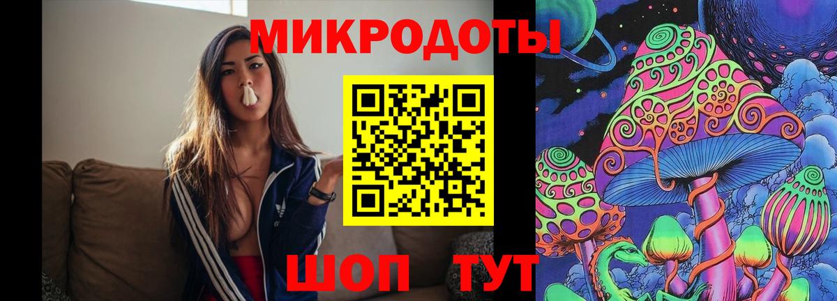 Ростов Великий  Псилоцибиновые грибы прущие грибы  Вход с VPN  Псилоцибиновые грибы мицелий 