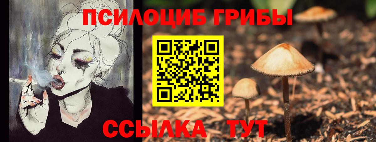 Галлюциногенные грибы MAGIC MUSHROOMS Ростов Великий